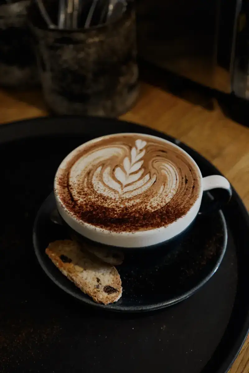 Cappuccino with cocoa dusting and a biscotti